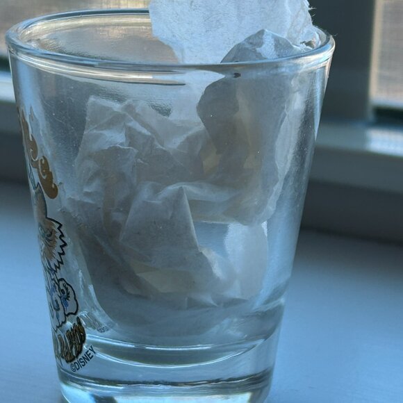 Walt Disney World Animal Kingdom Whitewater Kali River Rapids Bar Shot Glass FL - Picture 2 of 6